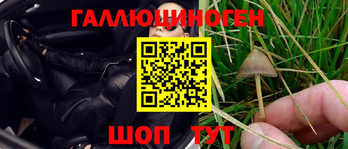 Нефтеюганск  Псилоцибиновые грибы Magic Shrooms  Вход с VPN 